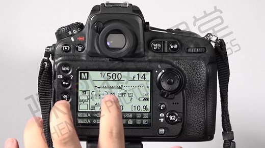 尼康D810自动对焦