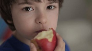 Cute Little Boy Eating Red Apple: vídeo stock (100% livre de direitos) 1109887823 | Shutterstock