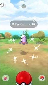 GRAN CAPTURA DE FEEBAS SHINY✨🌈 #shiny #pokémon #pokemongo #parati #viral #fypシ