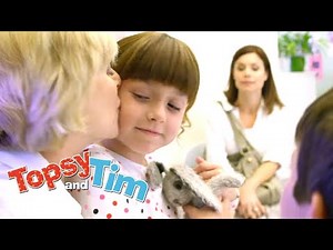 Lovely Mossy & All Change! | Topsy & Tim | Cartoons for Kids | WildBrain Kids