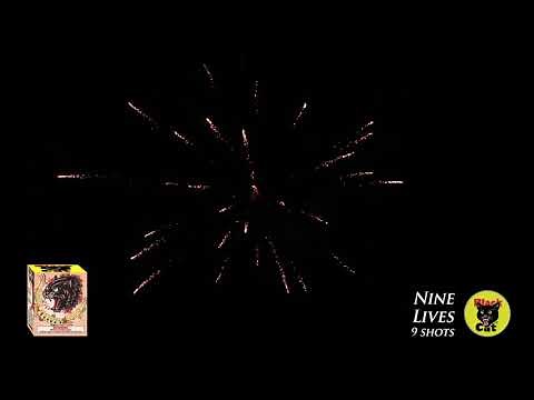 Nine Lives - Black Cat Fireworks
