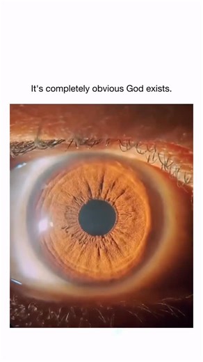 TrendTok Hub on Instagram: "The post features a video progressively zooming into a human eye, from macroscopic to microscopic views of its fibrous iris structure, to illustrate biological complexity as undeniable evidence of divine design. Replies in the thread polarise opinion, with atheists countering via evolutionary examples like intermediate eye forms in nature and imperfections such as tumours, while supporters echo affirmations of faith. The linked Substack expands on irreducible complexi