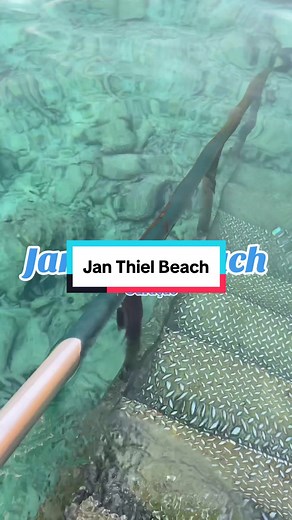 Experience Paradise at Jan Thiel Beach in Curaçao
