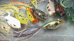 #topwatertuesday James and Al Lindner talk froggin' bass with the Terminator Walking and Popping Frogs. The hollow belly series from Terminator offers a variety of color patterns in a couple different sizes. The Popping Frog with its cupped face will create a loud, strong pop that drives fish crazy. Custom designed weight is shaped and positioned to stay out of the way of the hook. This frog fishing lure design creates a responsive, easy to impart, walking action. Extra-wide hook gap converts st