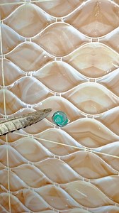 209K views · 856 reactions | bathroom taps fittings Best trick. | Story Finishings | Facebook