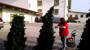 12K views · 283 reactions | Bronner's decorating team shows you how to wash your artificial Christmas tree. | Bronner's CHRISTmas Wonderland | Facebook