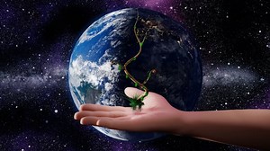 Environment, Ecology, Green. Free Stock Video