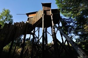 Wildlife viewing hides allow guests to watch a variety of mammals and bird