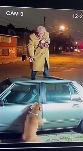 Security Camera Captures Woman vs Pitbull 😳 #WildlifeDocumentary2025 #Top5AnimalEncounters