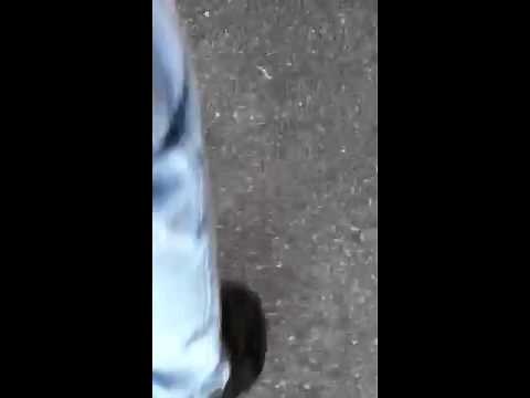 Silent Knight 5207 fire alarm system