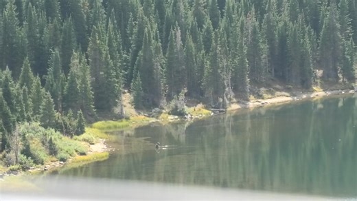 Dude Trout Fishing @ 10.5k #Colorado #troutfishing | Colorado Bigfoot