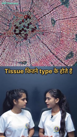 BSP PHARMACY on Instagram: "Tissue कितने type के होते है #bpharma #dpharma #dpharmacy #bpharmacy #pharmacist #dpharmanotes #exitexam #punitsir #bphqrmanotes #dpharmacy #healthcare #healthy #healthtipsreel #healthfood #healthandfitness"