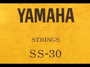 YAMAHA SS30 - installing midi,part II