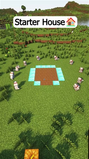 Creative Starter House Ideas for Minecraft Players