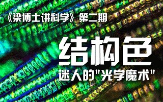 什么是结构色？ | 《梁博士讲科学》第二期