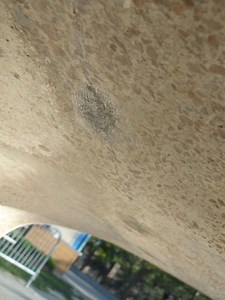 Climb On Board: Bandage Removed from Zoo's Hippo Sculpture