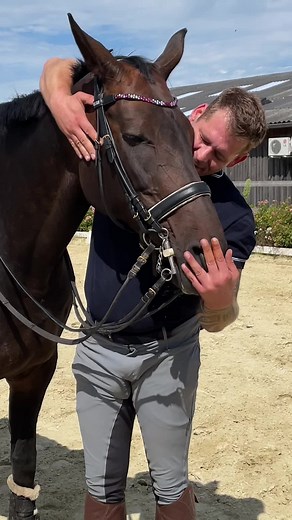 Equestrian Interaction: Man and Horse in Training