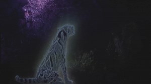 Unextinct: New Sacramento Zoo exhibit digitally revives 49 extinct, endangered species