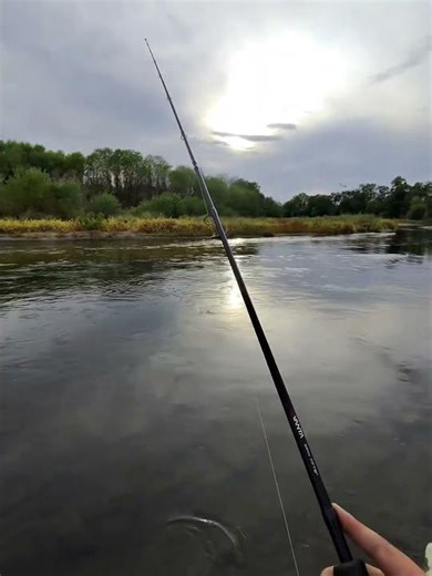 #riverfishing #spinningfishing mepps spinner