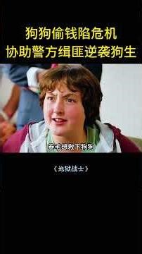 狗狗竟是抢钱惯犯，最终协助警察破案，这才逆袭狗生。