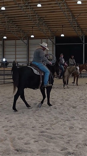 #horsemanship