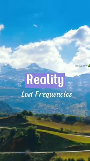 Reality #lyrics #music #song #chill #trend #soyknow #reality