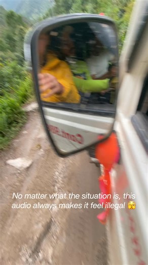 Bryn Morgan on Reels