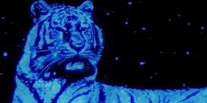 Canadian Startup VueReal Takes on Apple in MicroLED Displays