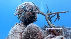 9News - Latest news and headlines from Australia and the world