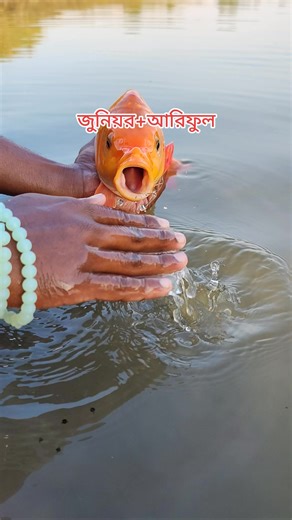 দুবাই প্রবাসীদের জীবনযাত্রা ও টিপস