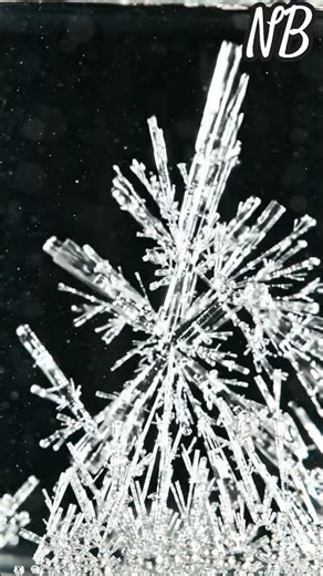 crystallization from a supersaturated saturated solution microscopic view