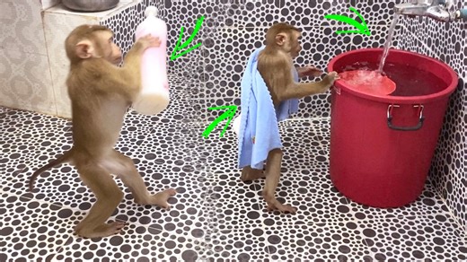 95K views · 2.9K reactions | Smrt Judee Prepared Her Own Stuffs For A Cosy Bathing | The Judy Family | Facebook