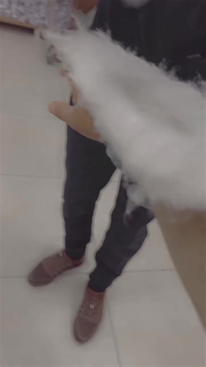 Understanding X-ray Imaging for Arm Injuries