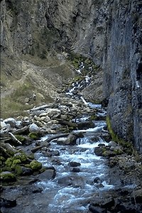 Intermittent Spring (Wyoming) - Alchetron, the free social encyclopedia