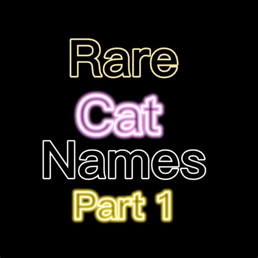 #rarecatnames #cats #edit #cute