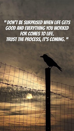 #motivation #mindset #selfbelief #inspiration #thoughts #quotes