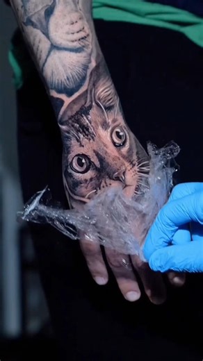 ASMR Tattoo Portrait Cat 🐈✨️ #tattoo #drawing_complex