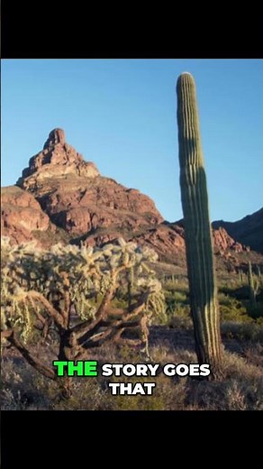 Lost Gold of Montezuma: Untold Story of a Hidden Fortune