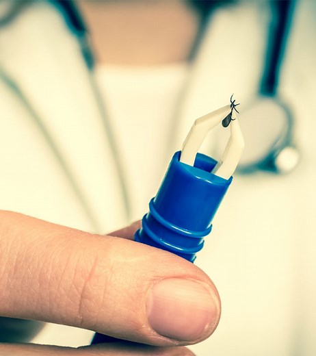 How To Remove A Tick Head: 4 Easy Steps For Safe Removal