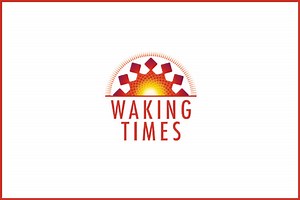 The Four Levels of Intuition