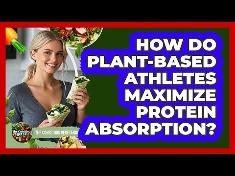 How Do Plant-based Athletes Maximize Protein Absorption? - The Conscious Vegetarian
