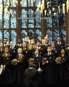 Other choirs have been real quiet since this song dropped | Harry Potter
