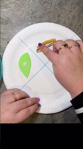 🦋Butterfly Life Cycle!💕 🐛 #preschoolactivities #preschoolathome #preschoolhomeschool #sciencecrafts