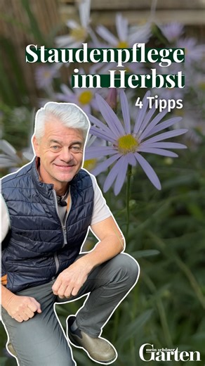 👉 Welche weiteren Tipps & Tricks für die Staudenpflege im Herbst habt ihr noch? 💬 #pflanzen #stauden #garten #gartenliebe #gartengestaltung #gartenglück #meinschönergarten | Mein schöner Garten