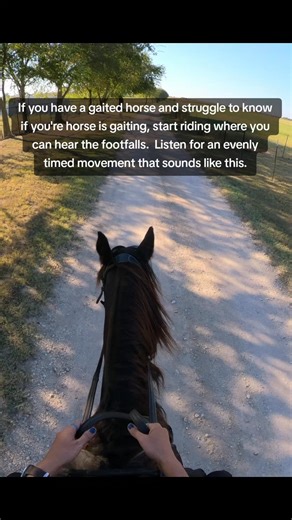 17K views · 541 reactions | Many riders stroke to know if their horse...