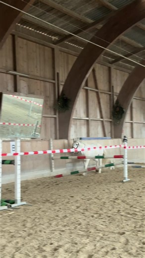 Pony Jumping Feat: Spectacular 1.43 Meter Performance