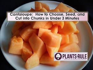 Cantaloupe: How to Choose, Seed, and Cut into Chunks in Under 3 Minutes by Plants-Rule