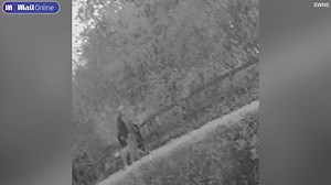 Cruel dog owner caught on camera brutally attacking his own defenceless dog