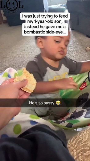 lolStreaming | Funny Videos I Found On The Internet or are sent by followers. Note: I do Not own these videos, if you own one of the videos and want... | Instagram