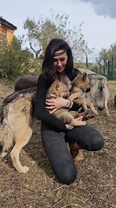 43M views · 679K reactions | She's a part of the pack! ❤️ | Furry Tails | Facebook